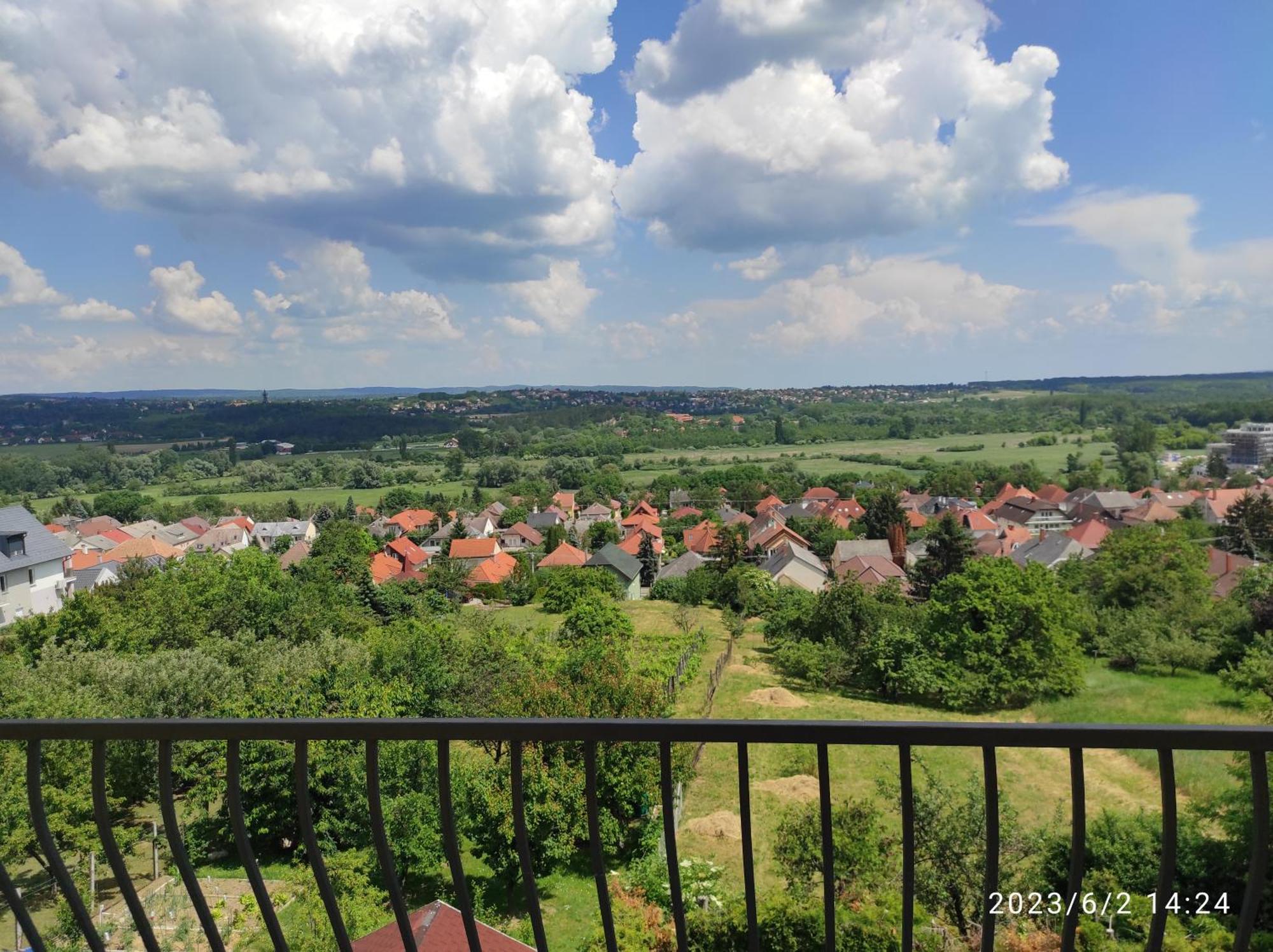 Flora Villa Heviz Phòng bức ảnh