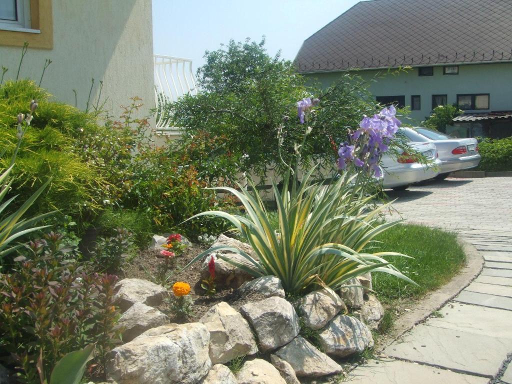 Flora Villa Heviz Ngoại thất bức ảnh